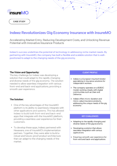 CASE STUDY INDEEZ